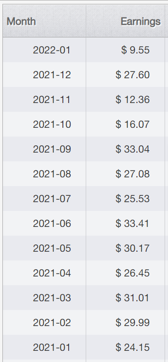 Google AdSense earnings example - how can i monetize my blog