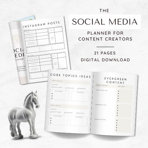 Social Media Planner for Content Creators - DFY Lead Magnet - Image 3
