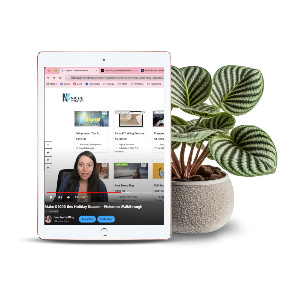 making money online by selling niche sites
