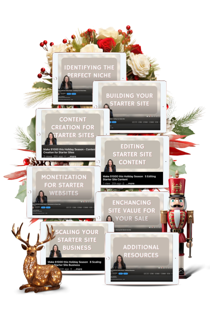 overview courses and walkthrough courses on how to sell websites to make money