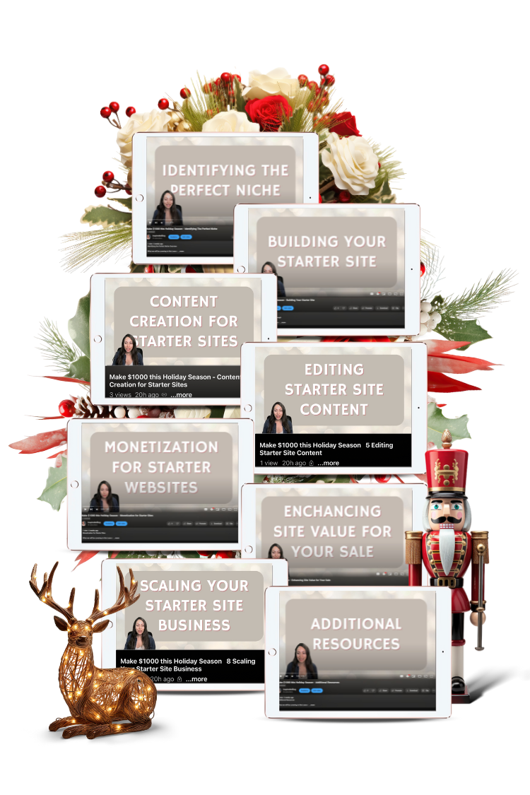 overview courses and walkthrough courses on how to sell websites to make money