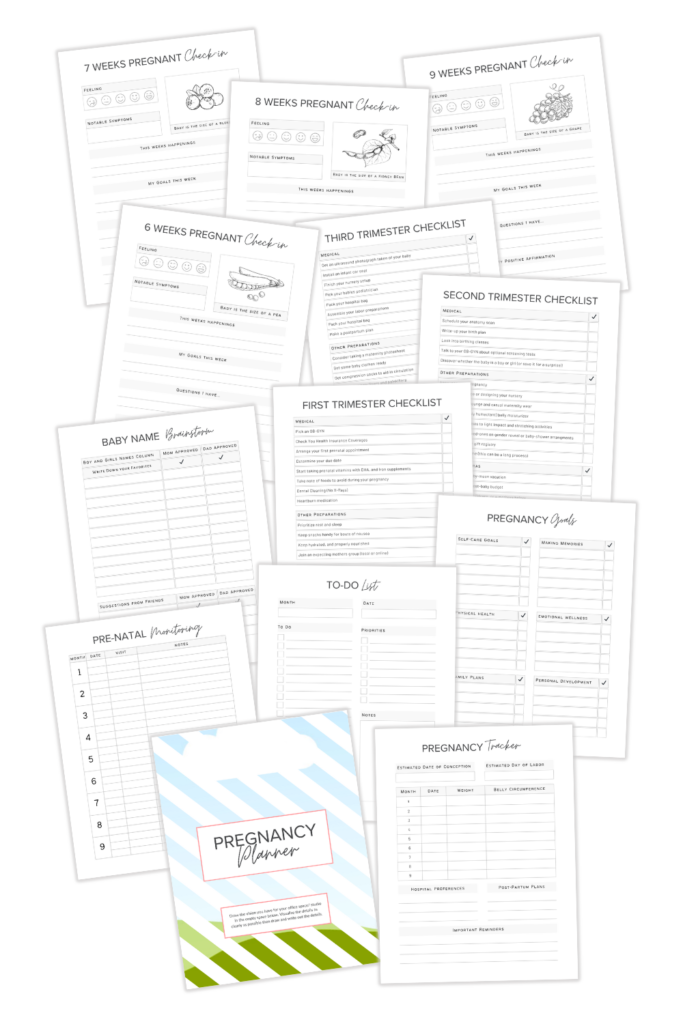 Plain PLR Template - Pregnancy Planner Product Mockup