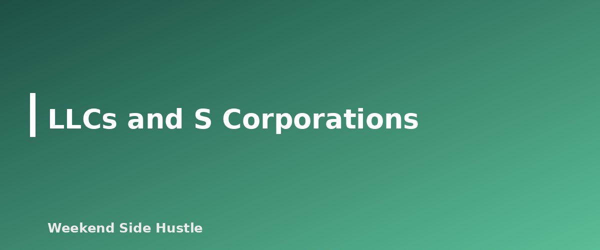 LLCs and S Corporations - section banner for Side Hustles and Social Security